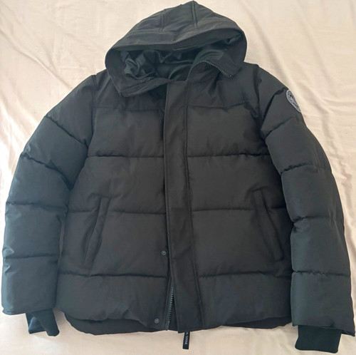 Canada goose arctic - canada,