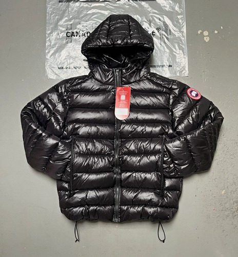 Canada goose arctic program - goose,